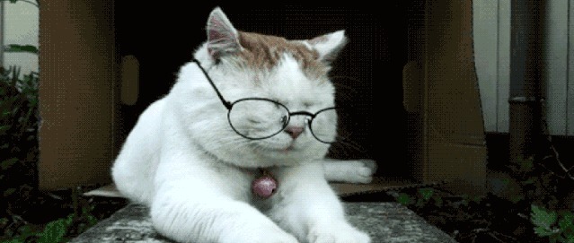 t01a7ccf9732115ee74.jpg?size=639x271