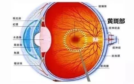 t0104a63a9c31a894d5.jpg?size=470x297