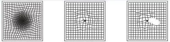 t011b592be19242e4a2.jpg?size=569x143